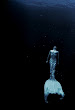 Deep Mermaid