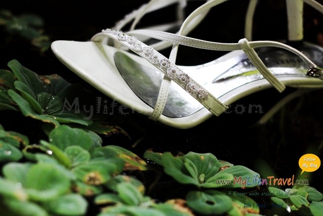Wedding shooting in ubud 01 Wedding shooting in ubud 01