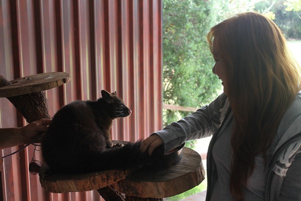 [IMG_0449_resize3.jpg]
