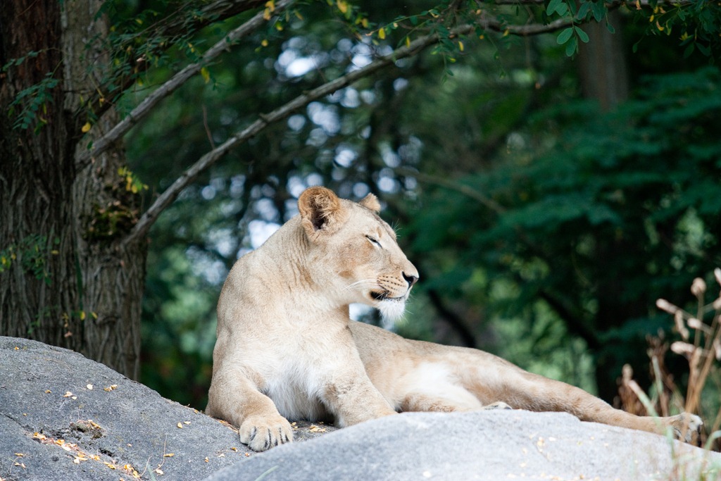 [20120818-IMG_87734.jpg]