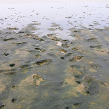 DSCN1515.JPG