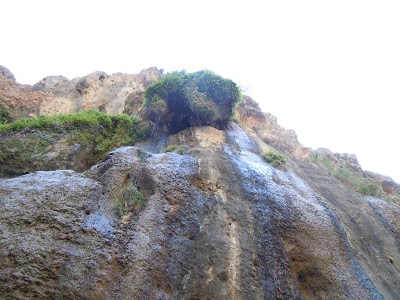 DSCN3881.jpg