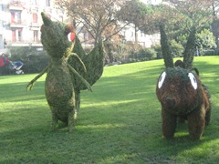 IMG_8340 IMG_8340