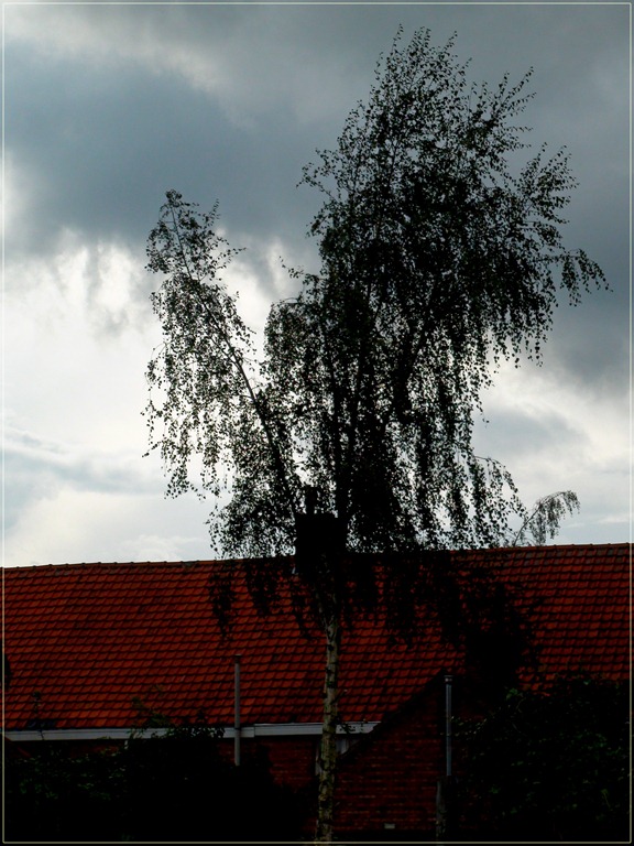 [DSC06858%255B3%255D.jpg]