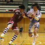 IMG_5955.jpg