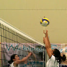 img036.jpg