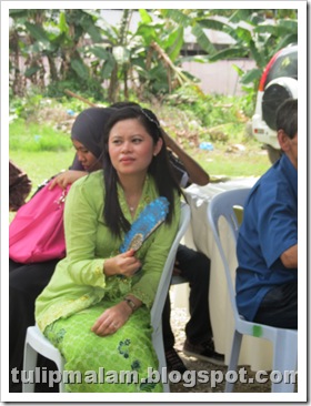 IMG_1184 IMG_1184