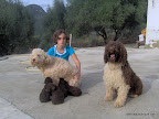 Anay, Rubia, sus cachorros y el padre Gordo.