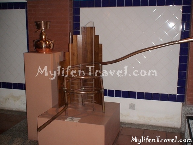 Wine Museum 49 Wine Museum 49