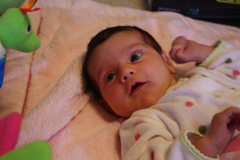 [IMG_3968%255B3%255D.jpg]