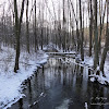 struga zimą dsc06369.jpg