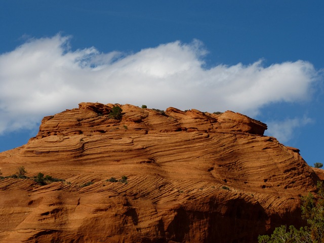 Canyon de Chelly National Monument White House Trail (22)