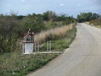 IMG_1663 IMG_1663