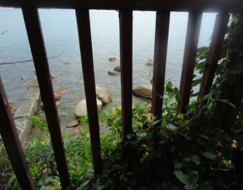 DSC06220 DSC06220