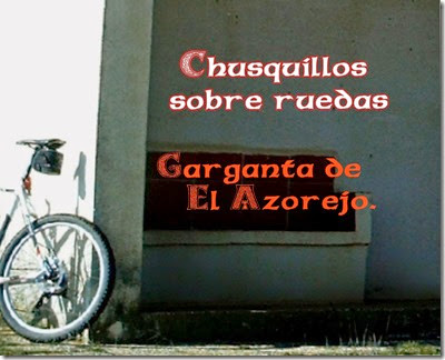 chq azorejo chq azorejo