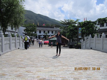 IMG_0343 IMG_0343