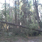 2012-08-06 17.56.22.jpg