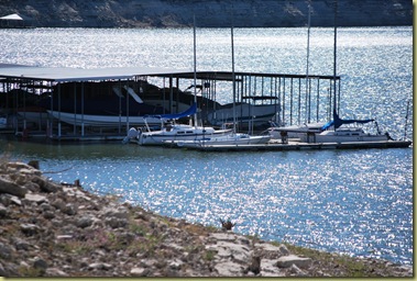 Lake Travis - Marina in Sunshine