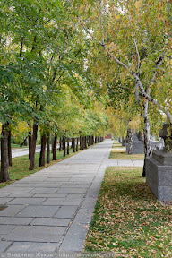 Аллея