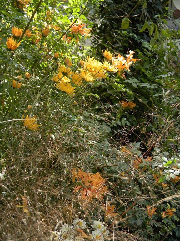 [DSCN9641.jpg]