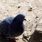 20100401_008.JPG
