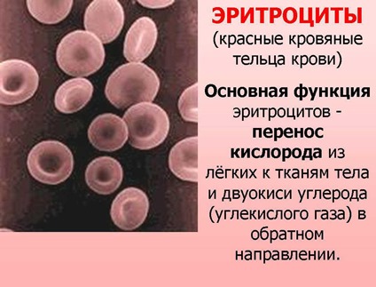 анемия анемия