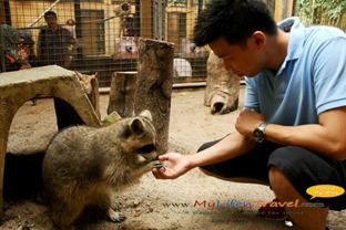 Langkawi Wildlife Park Langkawi Wildlife Park