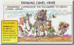 Camel-urine-islam-muhammad