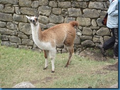 IMG_1653 IMG_1653