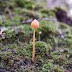 P1110985