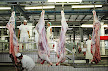 The Mercabarna slaughterhouse (Mercabarna marketing)