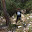PH088396.JPG