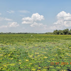 DSCN3014.JPG
