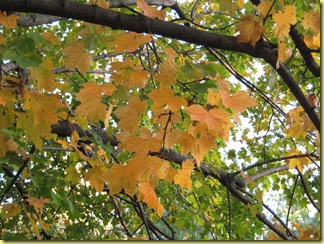 IMG_0027 IMG_0027