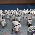 H25D2842.JPG