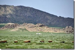 07-16 Vers UB 031 800X la steppe devient plus verte