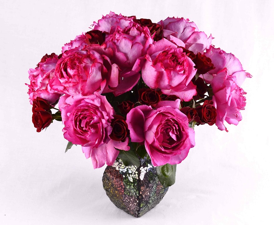 [just-roses-DSC_0506-2B-koko-floral-d%255B2%255D.jpg]