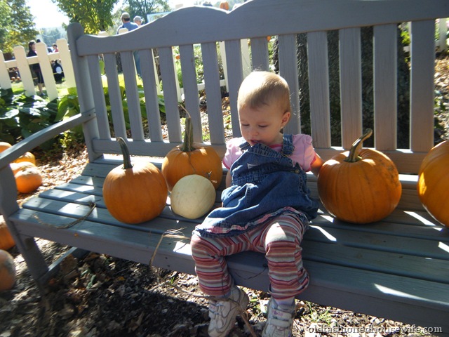 [Picture0484.jpg]