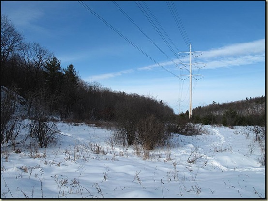 Pylons across trail 5