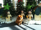 Look at these adorable snowmen!  I wonder how the decorations are coming along at home on the farm?  I hope Francesca and Sharkey aren't still sleeping on the job!