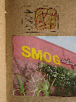 Erin's sketchbook, showing a sketch of the map and directions card, and a photo of the wedding venue and its greenery. Erin's sketchbook, showing a sketch of the map and directions card, and a photo of the wedding venue and its greenery.