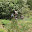 PH088381.JPG