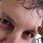 Un beso de una mariposa Un beso de una mariposa