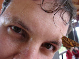 Un beso de una mariposa Un beso de una mariposa