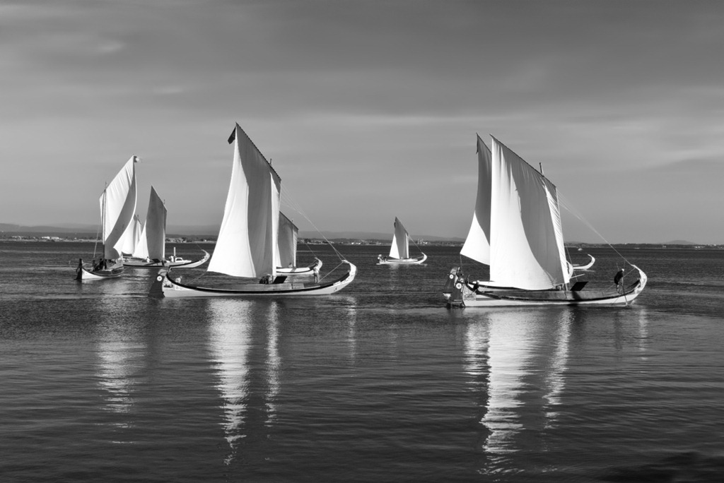 [_DSC1646bw_01%255B5%255D.jpg]