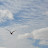 DSC_0069.jpg DSC_0069.jpg