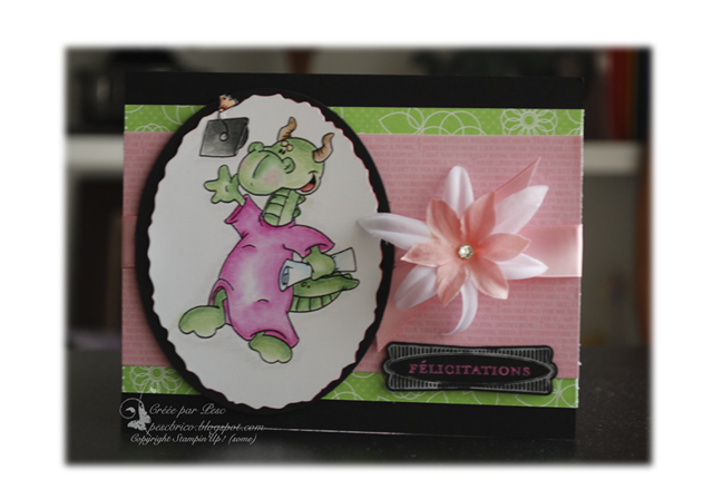 [DSC_2091cabsp%255B11%255D.png]