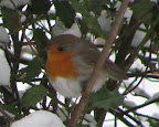 2012.02.05.16_22_48.JPG