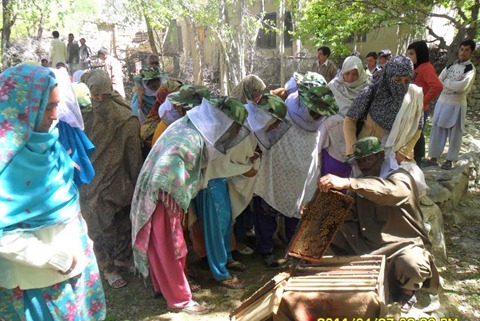 Skardu Honey Bee Training_Pakistan_April 2011 (12)
