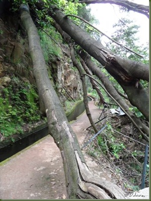 SAM_0154 SAM_0154